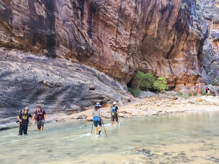 3 Must-do Hikes in Zion National&nbsp;Park